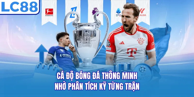 Cá độ bóng đá thông minh nhờ phân tích kỹ từng trận Cá độ bóng đá thông minh nhờ phân tích kỹ từng trận
