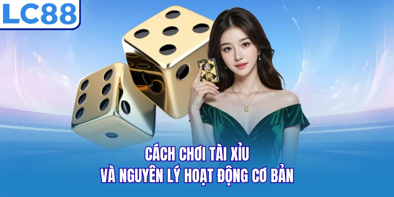 Cách chơi tài xỉu và nguyên lý hoạt động cơ bản Cách chơi tài xỉu và nguyên lý hoạt động cơ bản
