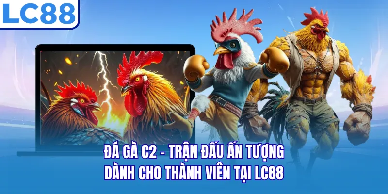 Đá Gà C2 - Trận Đấu Ấn Tượng Dành Cho Thành Viên Tại LC88