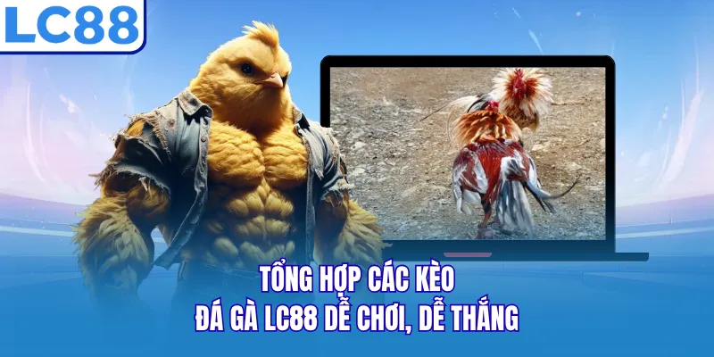 Tổng hợp các kèo đá gà LC88 dễ chơi, dễ thắng Tổng hợp các kèo đá gà LC88 dễ chơi, dễ thắng